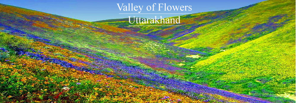 Valley of Flowers